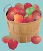 Apple Basket