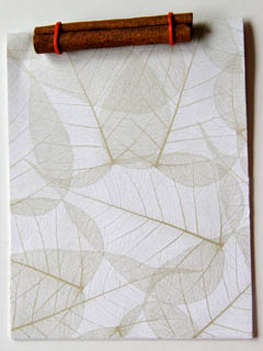 Memo book made with cinnamon stick, red rubber band, and patterned leaf paper