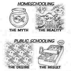 Homeschooling: The Myth, The Actuality