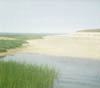 Salt Marsh, Cape Cod