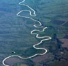 The Mississippi Snake